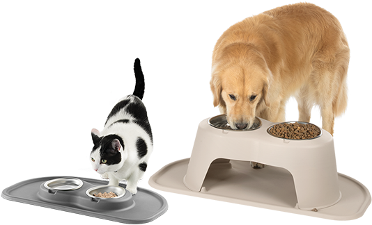 The High Feeding System - Dog (561x408), Png Download
