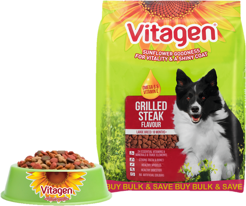 Food And Bowl - Cat Food In Bowl (838x703), Png Download