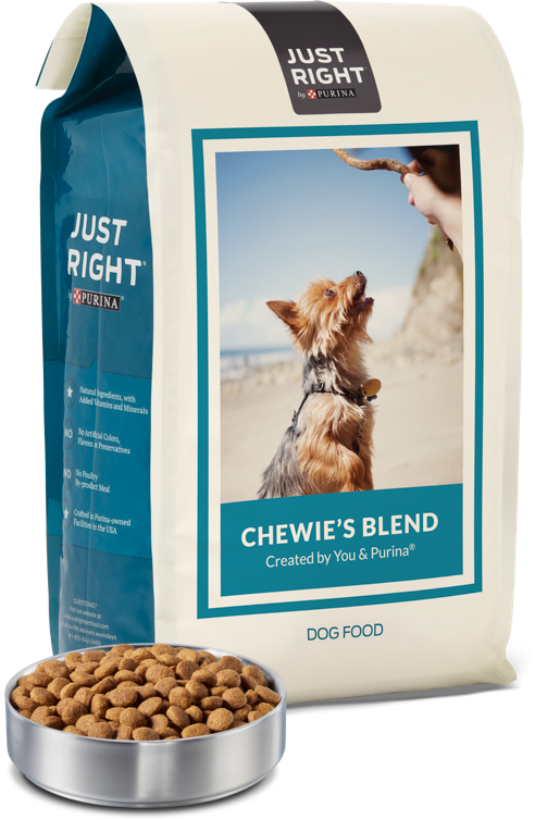 What's In The Box - Dog (492x754), Png Download