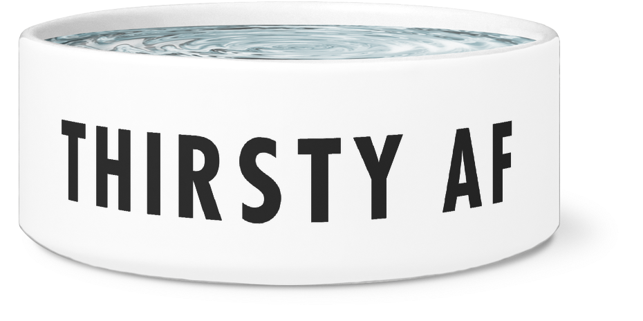 Hungry/thirsty Af Dog Bowl - I'm The Top Dog Novelty Dog Bowl, For Puppies And Adults (1024x1024), Png Download