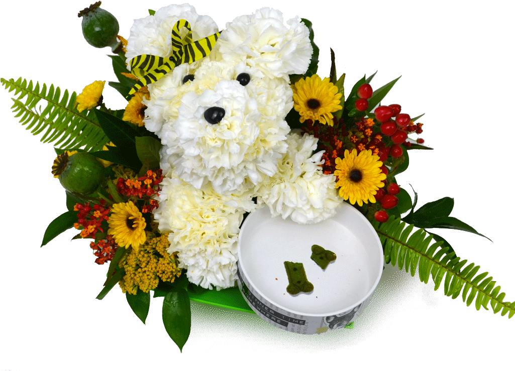 Flower Dog N Bowl - Flower Dog (1024x1024), Png Download