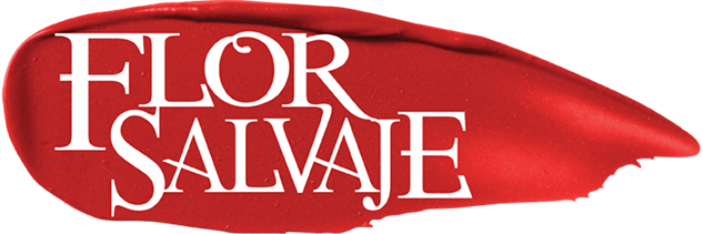 Marco - Logos De Telenovelas De Telemundo (633x211), Png Download