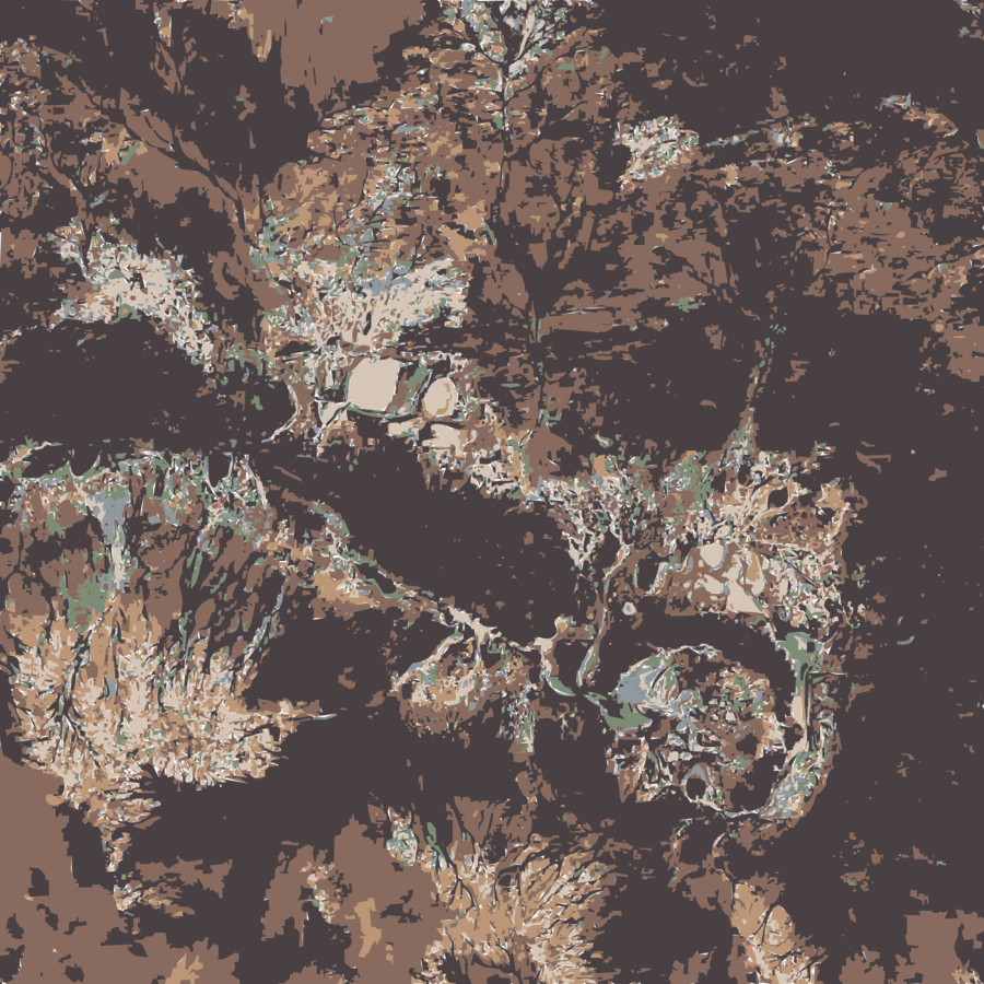 Craters On Earth Clipart Shoemaker Crater Earth Meteor - Craters On Earth (900x900), Png Download