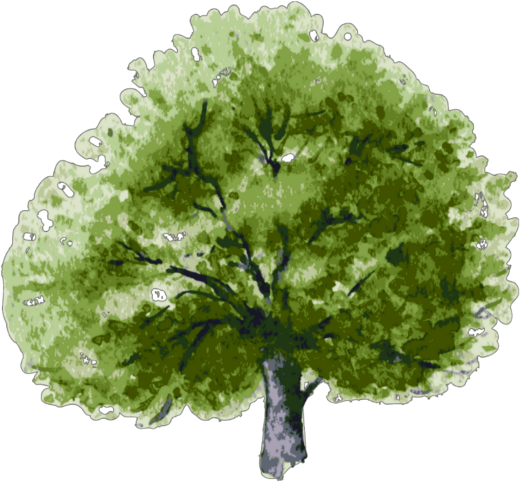 Tree (1024x1024), Png Download