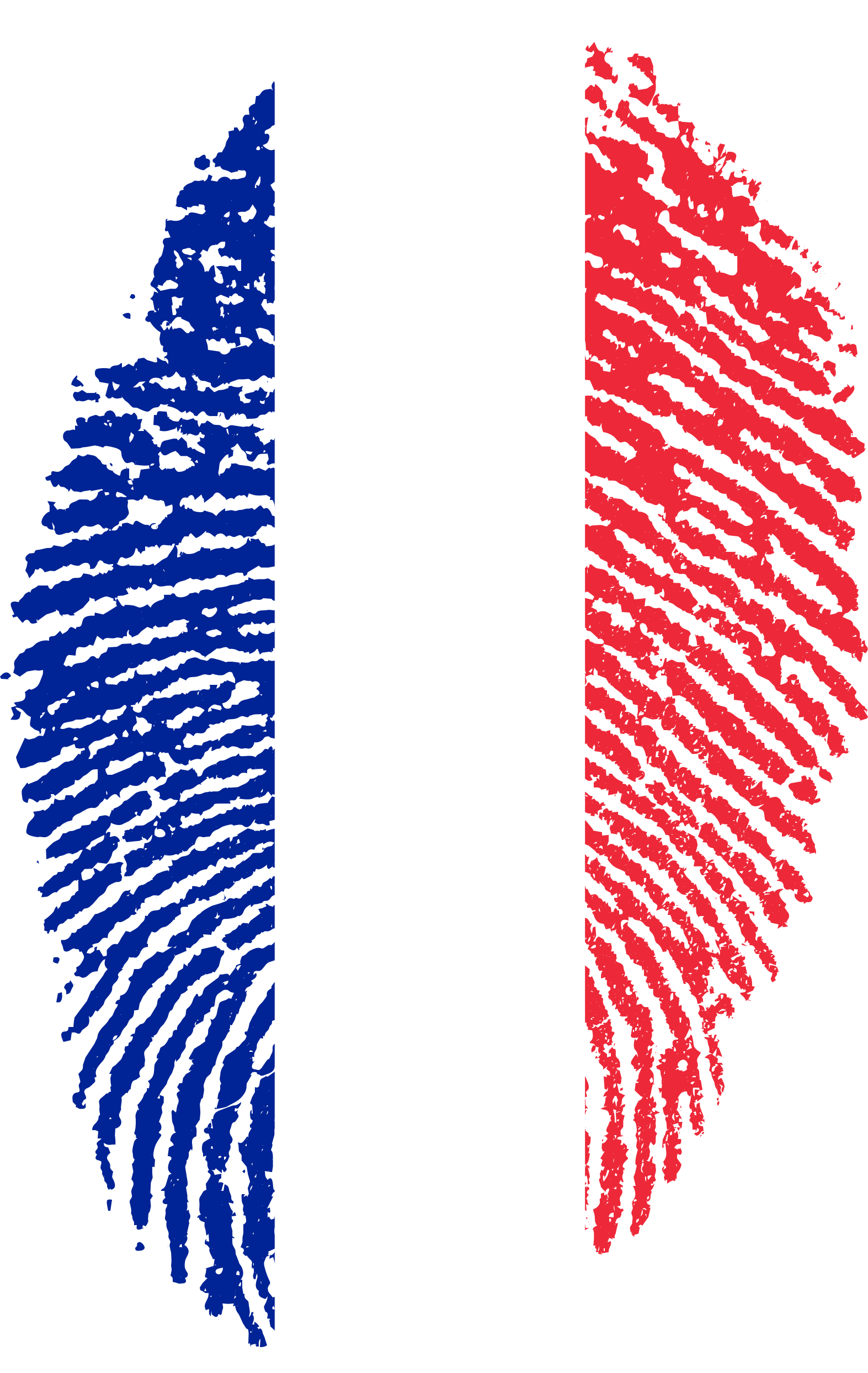France Flag Fingerprint Country 653001 - France Flag Fingerprint Png (1573x2488), Png Download