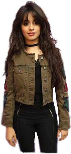 Camila Camilacabello Freetoedit - Camila Cabello Meet And Greet 2017 (239x518), Png Download