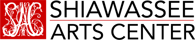 Sac Logo-1 - Affordable Art Fest Goa (763x160), Png Download