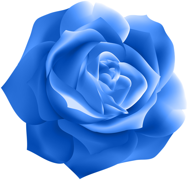Clip Art (600x572), Png Download