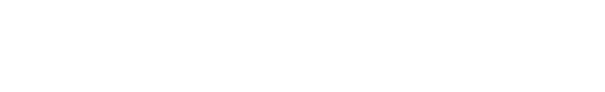 The Vidanta Traveler - Poster (1246x298), Png Download