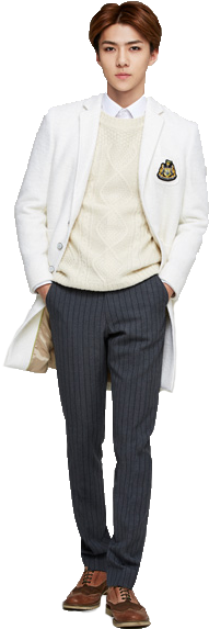 Related - Sehun Png Full Body (360x600), Png Download