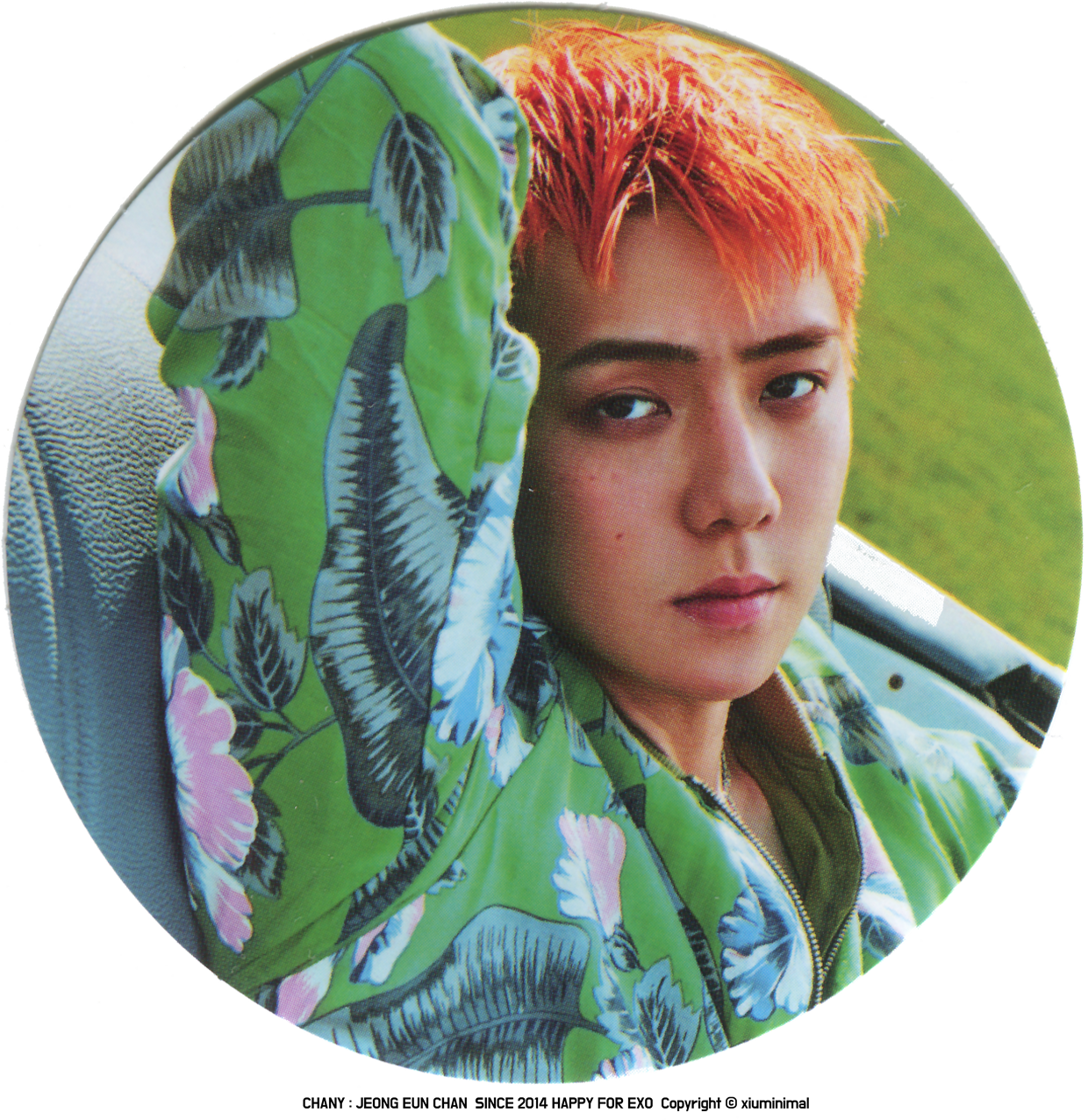170907 'power' Merchandise Credit - Exo Sehun Head Transparent (1240x1276), Png Download
