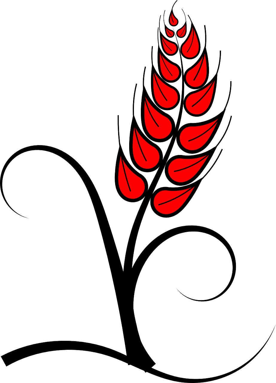 Grain Clipart Vector - Holy Communion Png (432x599), Png Download