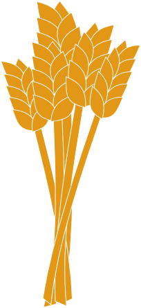 Wheat Clip Art - Wheat Clipart Png (600x535), Png Download