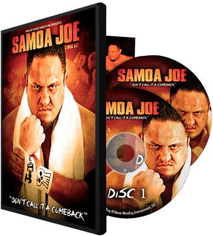 Don't Call It A Comeback - Ring Of Honor (348x351), Png Download