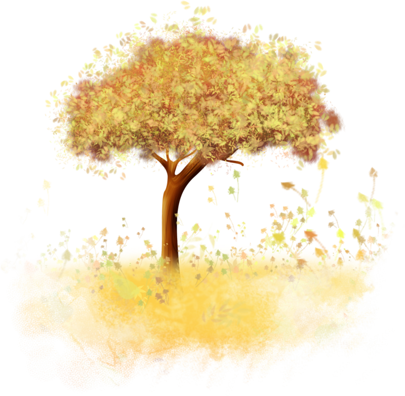 Image Du Blog Zezete2 - .net (800x781), Png Download