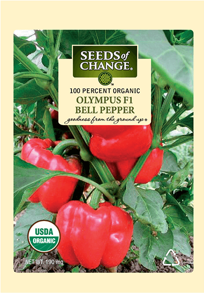 Organic Olympus F-1 Sweet Pepper Seeds - Seeds Of Change 21076 Organic Zesty Cln Quinoa Blend (573x573), Png Download