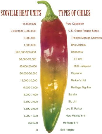 Scoville Scale On A Hatch Chile Pod - Green Chilli Scoville Scale (400x564), Png Download
