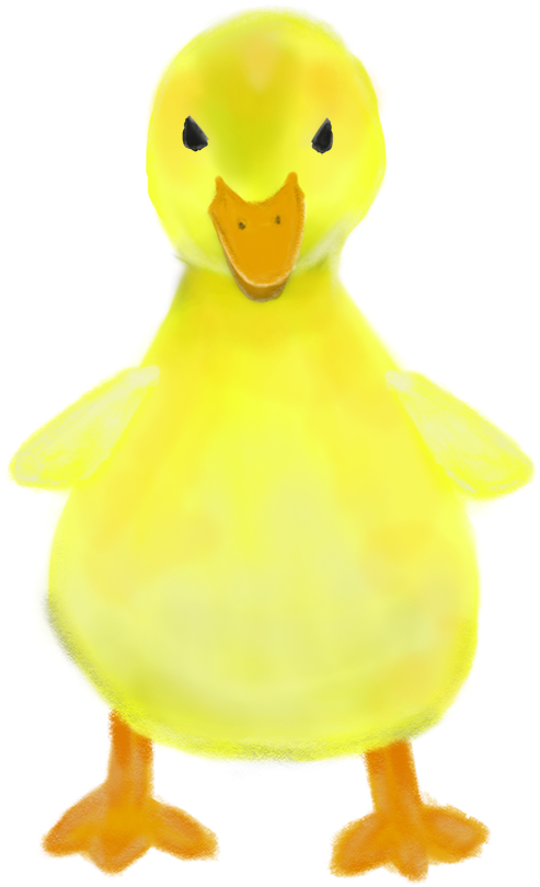 Source - - Duck (867x867), Png Download