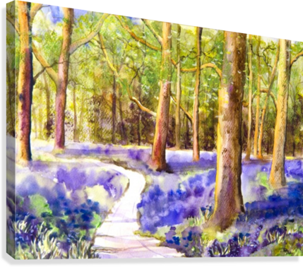 Bluebell Wood Canvas Print - Painting (429x378), Png Download