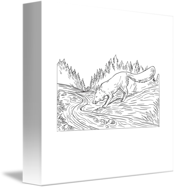 Svg Library Stock Fox Drinking River Woods Black And - Drawing (606x650), Png Download