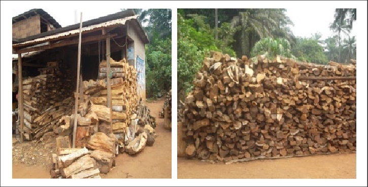 Woods Displayed For Sale - Sales (725x368), Png Download