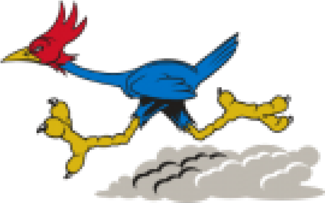 Roadrunner Clipart Mascot - Clip Art (640x480), Png Download