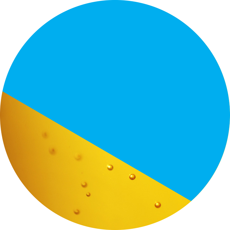 Roadrunner - Bluedot Festival (735x735), Png Download