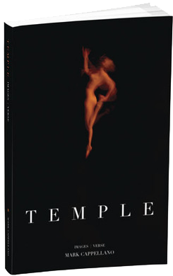 Temple (291x456), Png Download