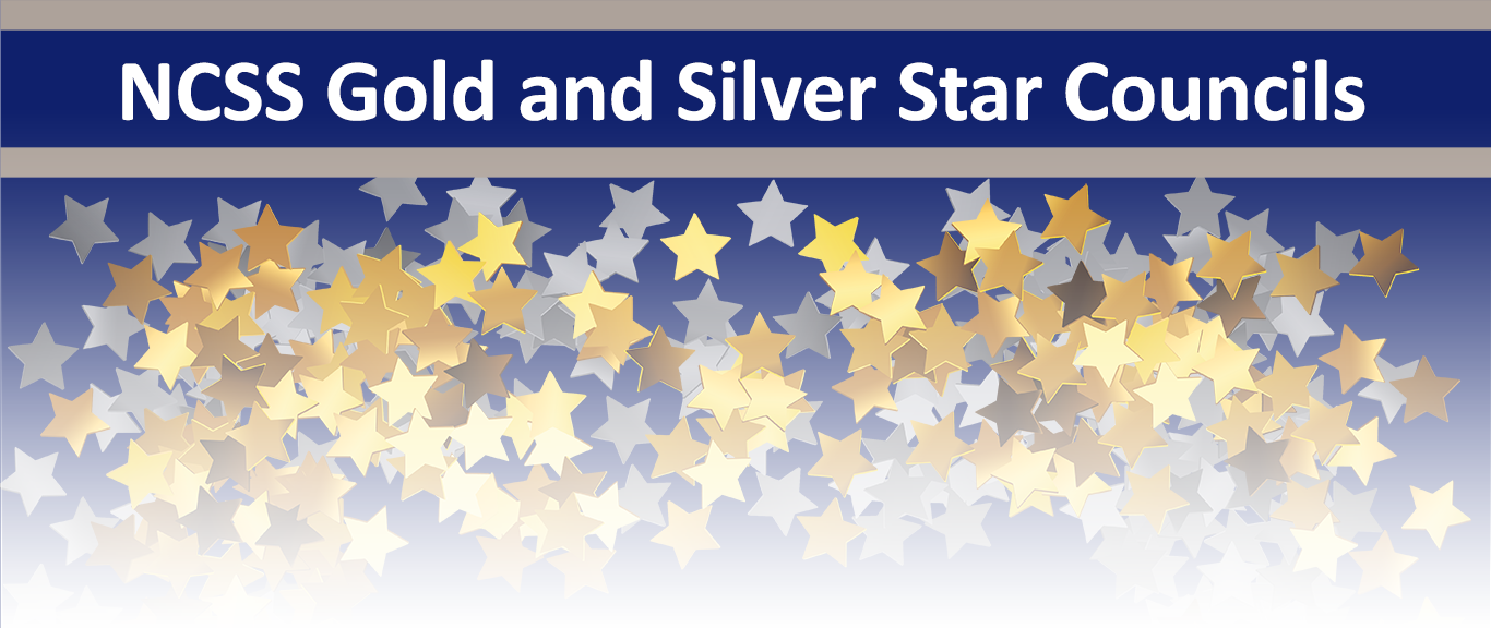 Gold And Silver Star Application - Graphic Design (1366x576), Png Download