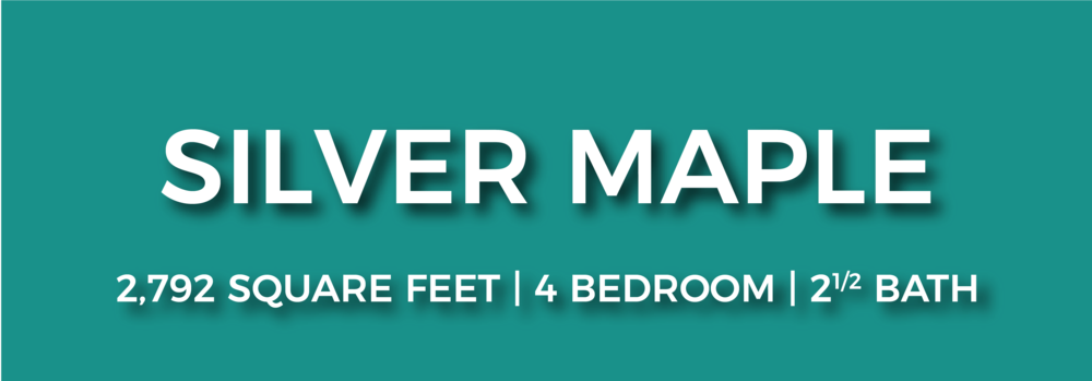 Silvermaple Nofp-01 - Portable Network Graphics (1000x349), Png Download