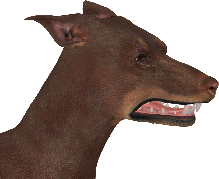 Rigged Ears - Portable Network Graphics (765x686), Png Download