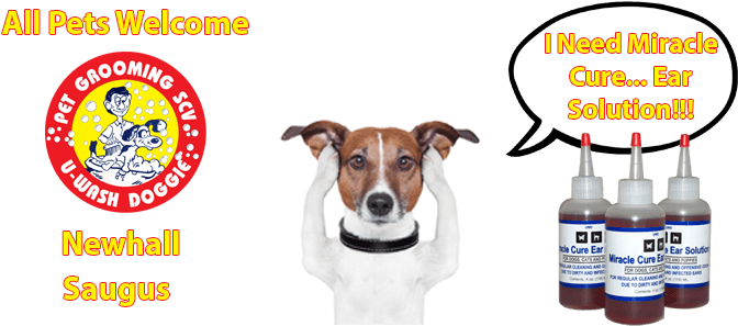 Miracle Cure Ear Solution At U-wash Doggie - Meditation In Minutes: 10 Minutes Or Less (752x329), Png Download