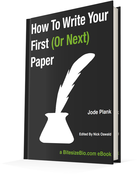 Brothers Grimm (600x773), Png Download