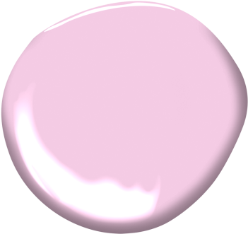 Dog's Ear - Bunny Nose Transparent (360x360), Png Download