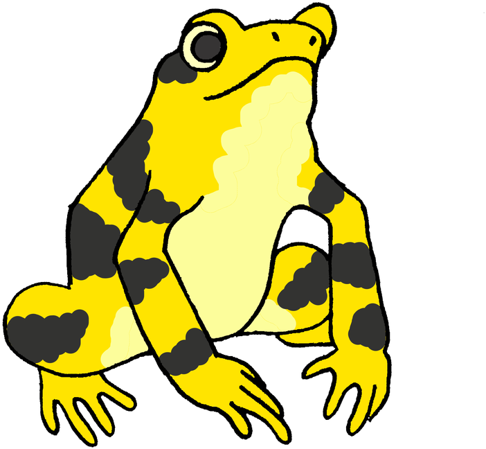 Frogs Clipart Amphibian - Panamanian Golden Frog Cartoon (800x800), Png Download