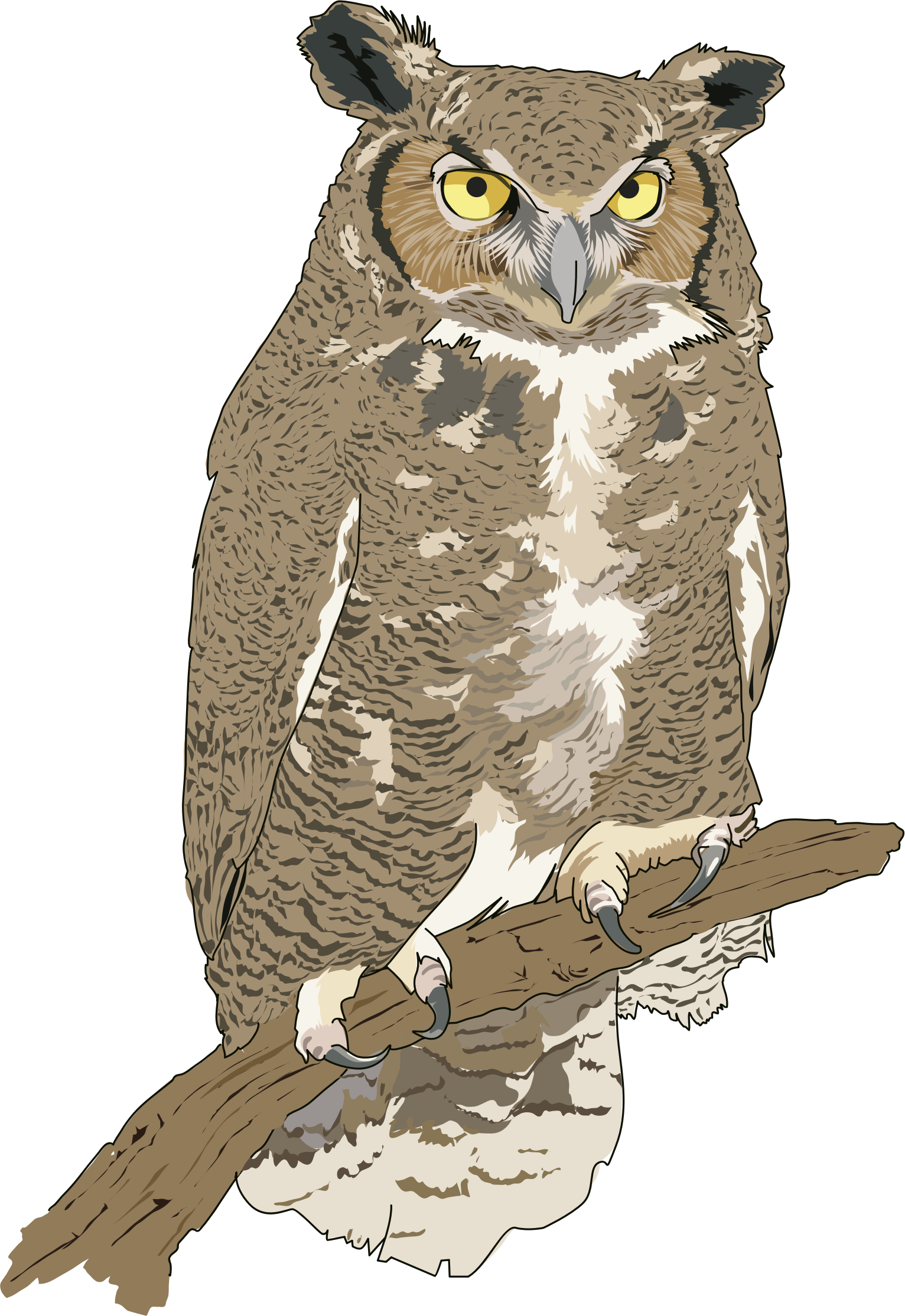 Cut Clipart - Realistic Owl Clip Art (546x800), Png Download