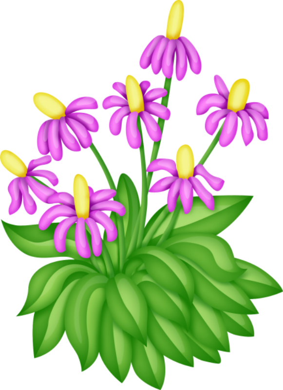 Фото, Автор Иришка-манюшка На Яндекс - Portable Network Graphics (581x800), Png Download