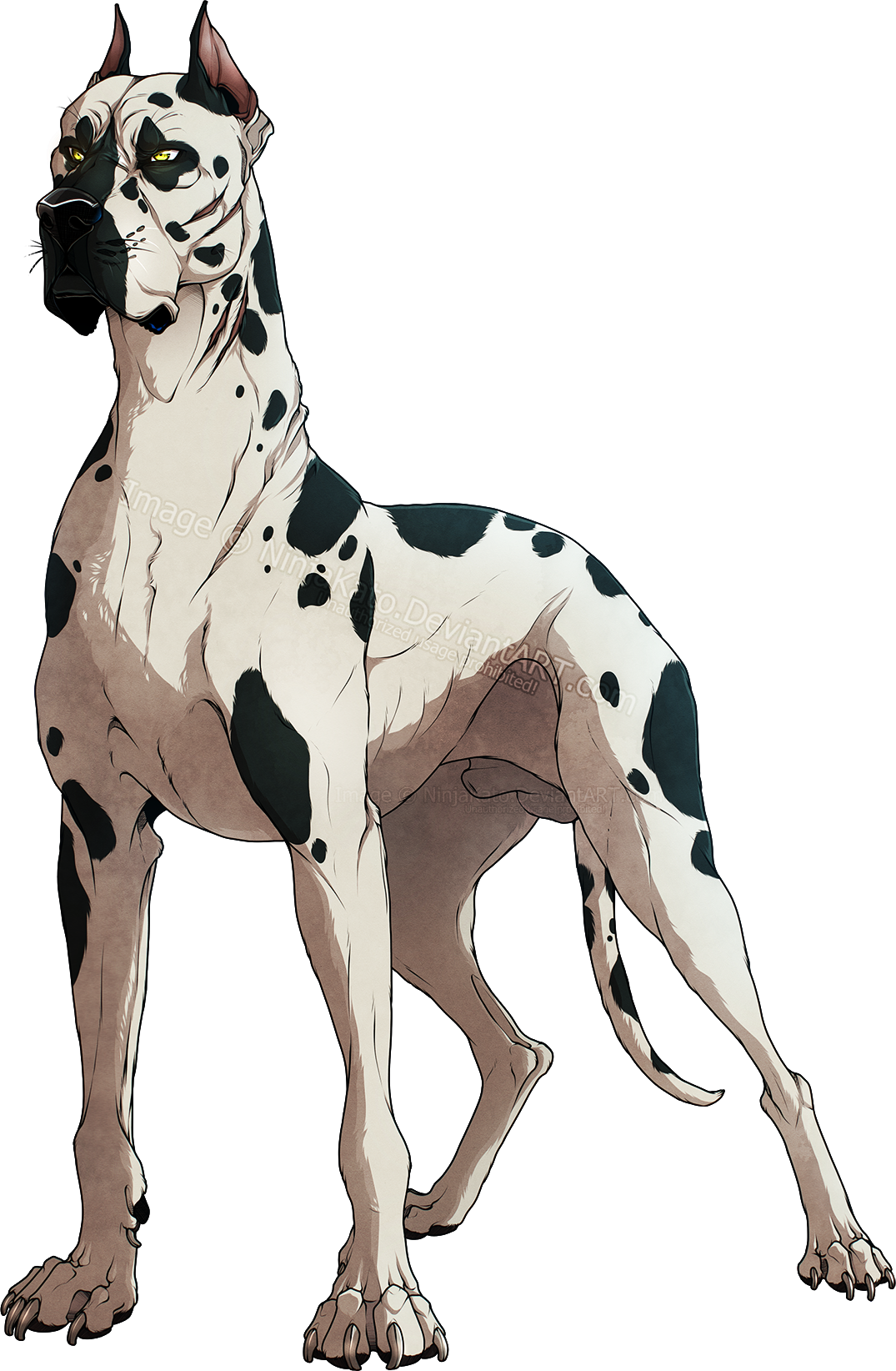 Hougen By Ninjakato On Deviantart - Hougen Ginga (1075x1644), Png Download