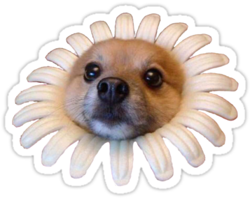 Flower Doggo" Stickers By Elise Vermeer - Flower Doggo (375x360), Png Download