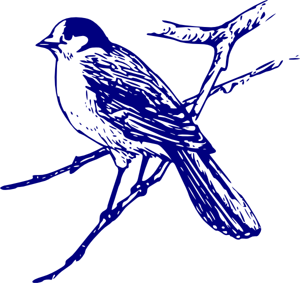 Blue Bird Png - Blue Bird Images Free (600x566), Png Download
