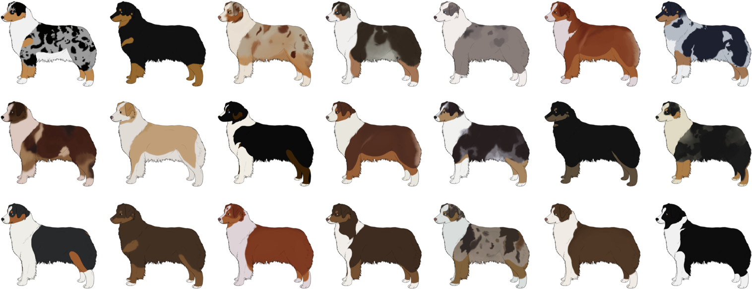 Lots Of Australian Shepherd Cartoon Dogs - Австралийская Овчарка Окрас Чёрный (1600x664), Png Download