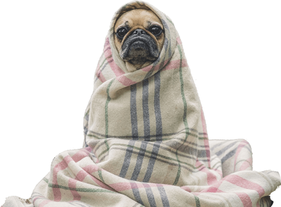 £5 Off When You Book Your First Full Groom - Oops Landing Page (1000x706), Png Download