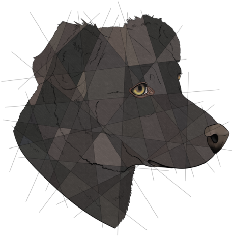 Dog Commission For @meandmoqui - Dog (500x500), Png Download