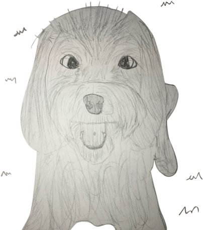 Biggs (480x480), Png Download