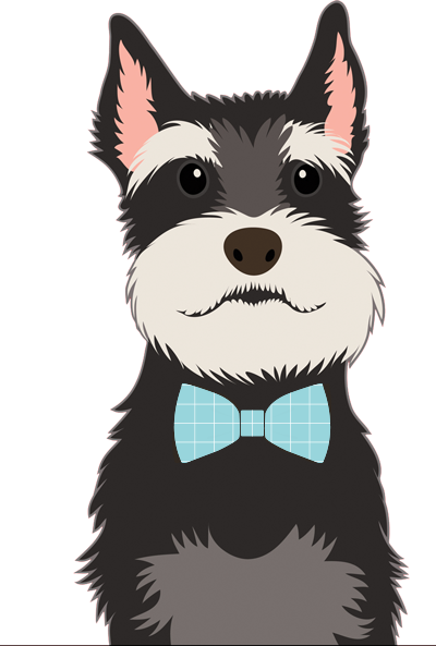Pet Boarding & Pet Grooming In Lutz Florida - Cafepress Schnauzer Iphone 6 Tough Case (400x593), Png Download