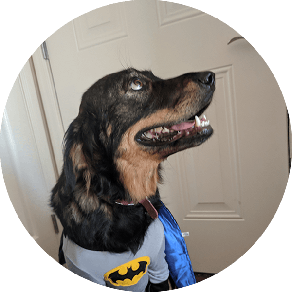 Emmy - Animal Rescue Group (600x600), Png Download