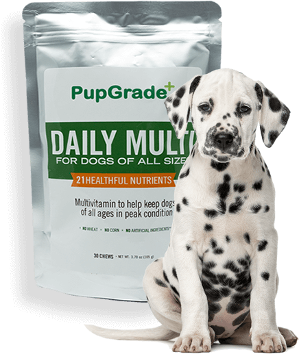 Dog And Pupgrade Multi - Dalmatian Dog (437x528), Png Download