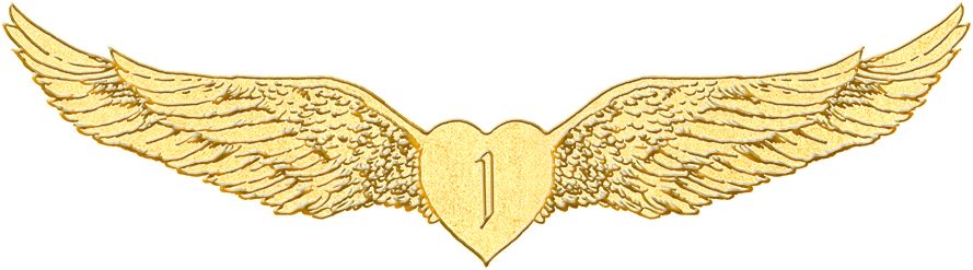 The Winged Heart Emblazoned With The Number One Represents - Wing Gold Transparent Heart (889x247), Png Download