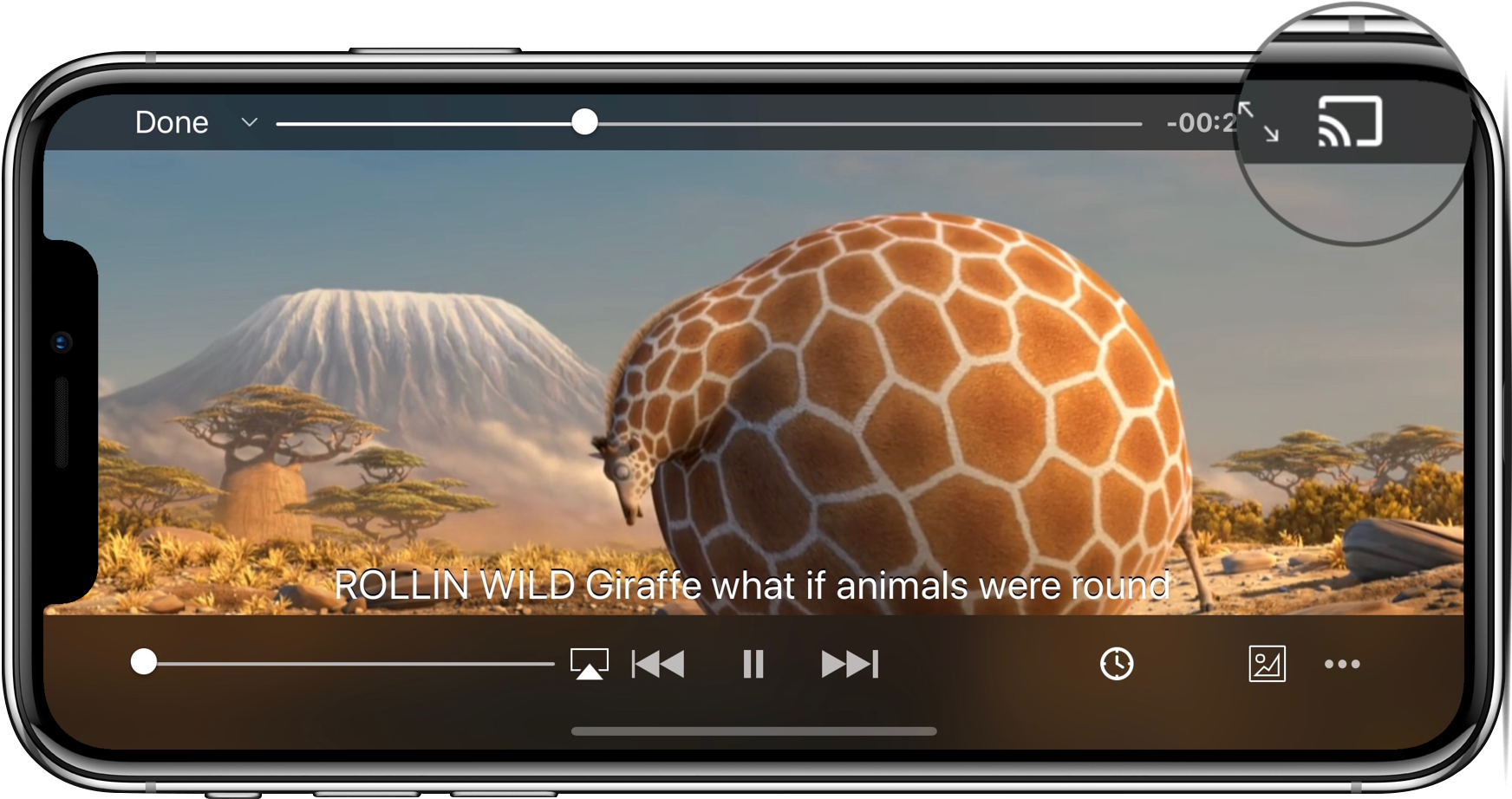 Chromecast Support - Жираф После Нового Года (2000x2000), Png Download