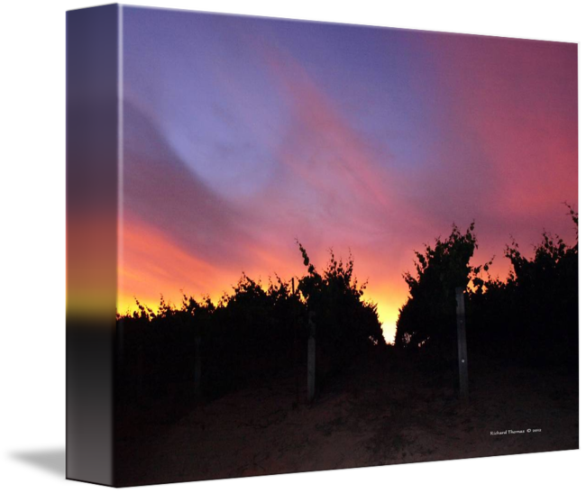 Sunset By Richard Thomas - Drawing (650x547), Png Download